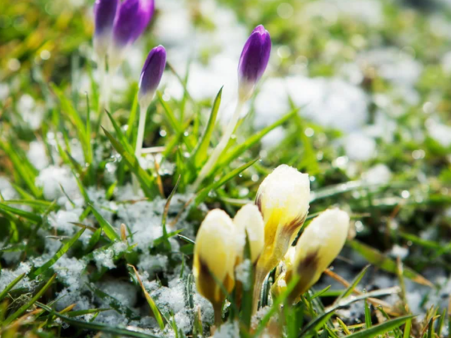Похолодання, весна, погода, зображення з вільних джерел