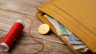 Гаманець, нитка, голка, ритуал, зображення: Clutch