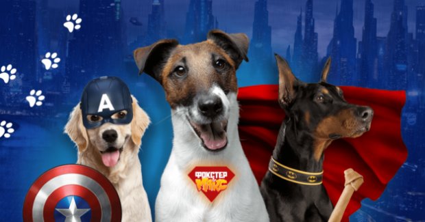 В каждой собаке есть что-то супергеройское