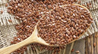 Как правильно принимать семена льна: противопоказания и польза