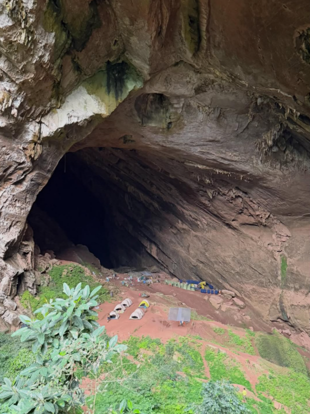 Скрін публікації Даші Трегубової