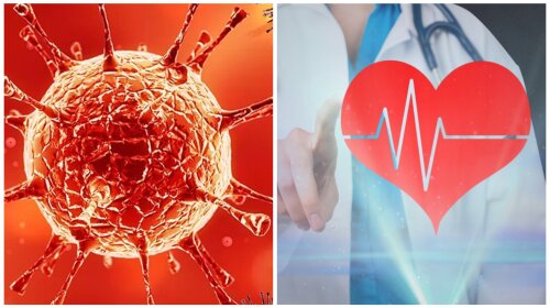 Как коронавирус влияет на сердце и сосуды?
