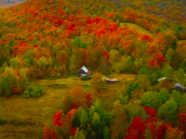 Осень, гороскоп