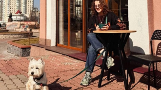 Потепління, песик, погода, фото з соцмереж