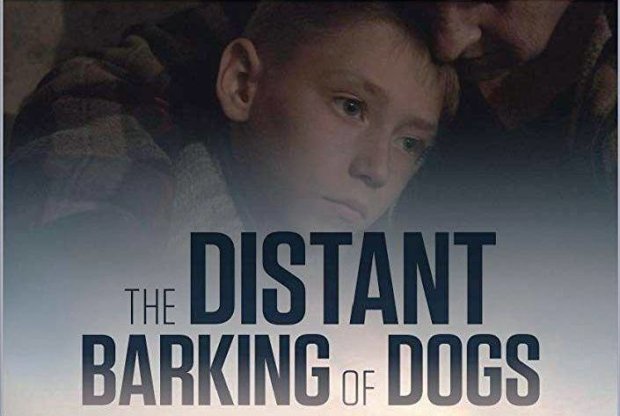 Фильм про мальчика из Донбасса понравился многим европейцам