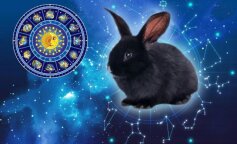 Три знака Зодиака, которым 2023 Год Кролика принесет счастье и везение - начнется "белая полоса" в жизни