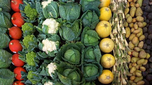 Защитит от рака, инсульта, инфаркта: назван невероятно полезный и доступный овощ