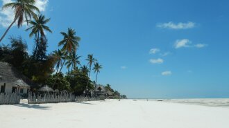 7 Самых интересных мест на острове Занзибар: как получить от путешествия максимум