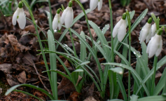 Весна, погода, фото: majborodinruslan1990/depositphotos