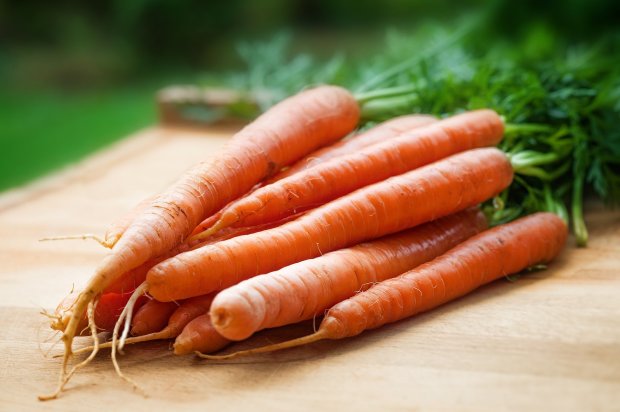 «Килограммами морковь есть не стоит» — Комаровский