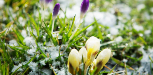 Похолодання, весна, погода, зображення з вільних джерел