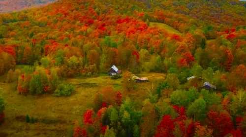 Осень, гороскоп