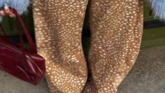 Мода, жінка, одяг