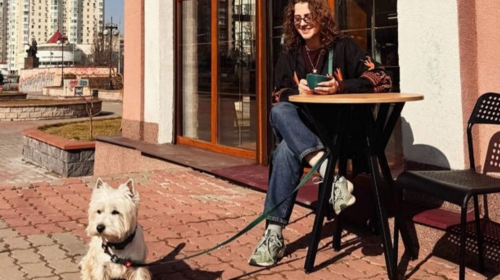 Потепление, собачка, погода, фото из соцсетей