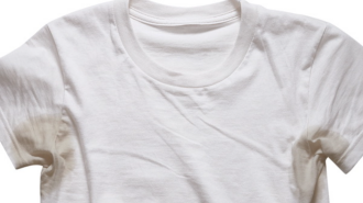 Плями поту на білому одязі, зображення з вільних джерел