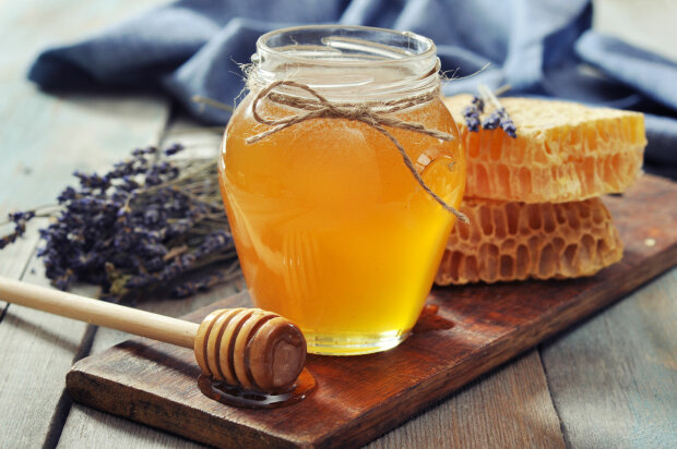 Як впливає мед на організм