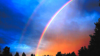 6952892-double-rainbow