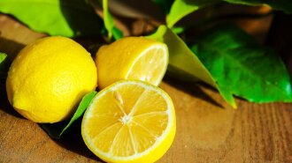 Лимонная диета: 4 рецепта для похудения