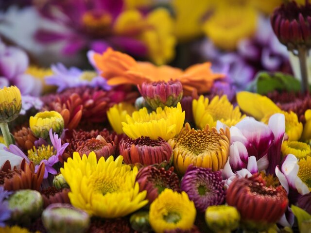 Как выбрать и продлить жизнь букету цветов