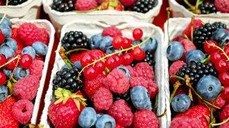 "Грозит ожирением печени": врач рассказала, чем опасно чрезмерное употребление ягод и фруктов