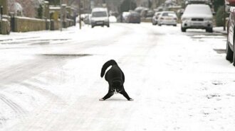 Мороз і ожеледь: синоптик розповіла, де в Україні буде найхолодніше