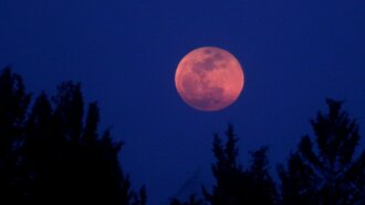 Супермісяць або просто рожевий місяць: у квітні 2020 українці побачать унікальне природне явище