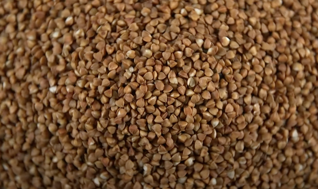 Гречка. Фото: youtube.com