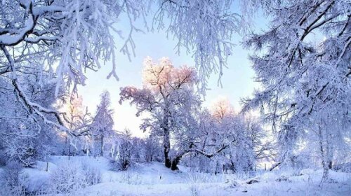 зима, крещение, обряды на крещение, ритуалы