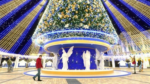 Новогодняя елка в Киеве будет! Зеленую красавицу украсят сине-желтыми огоньками (фото)