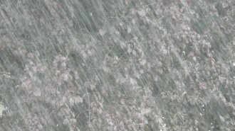 Град і гроза: у Києві справжній потоп після сильного дощу (ФОТО, ВІДЕО)
