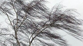 Штормові пориви вітру та заморозки: синоптик розповіла, в яких областях України зміниться погода