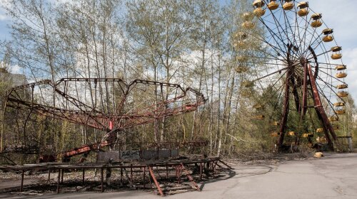 В Сеть попало уникальное фото животных, обитающих на территории Чернобыльского заповедника