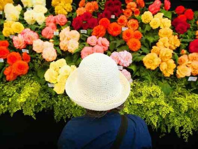 Garden Enthusiasts Flock To Hampton Court Flower Show