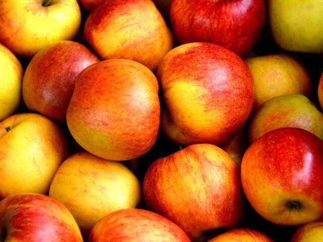 apple-fruit-fruits-delicious-162806