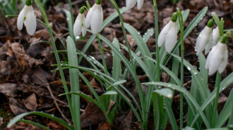 Весна, погода, фото: majborodinruslan1990/depositphotos