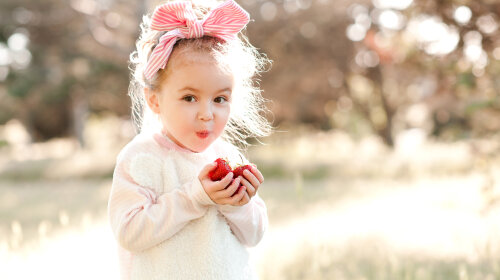 Cute kid girl holding strawberries outdoors. Looking at camera.