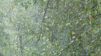 Жара и грозовые дожди: прогноз погоды в Украине на 27 июля
