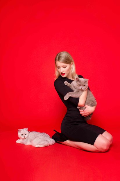 Clutch в центре внимания