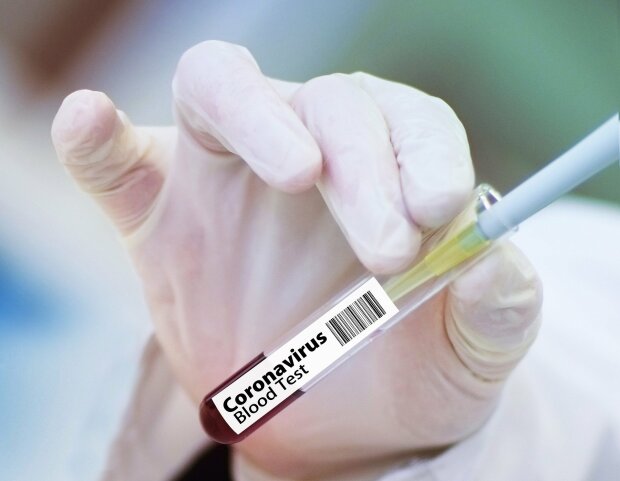 коронавирус, новый штамм
