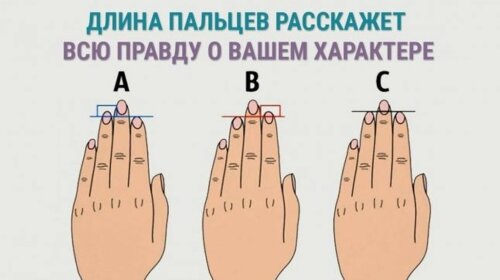 Тесты на характер: какой у тебя палец длиннее?