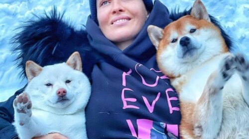 Красиво жити не заборониш: Астаф'єва найняла няню для своїх собак