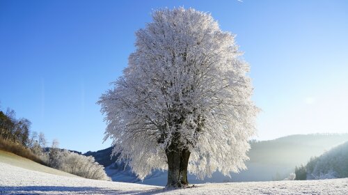 Зима. Hans с сайта Pixabay