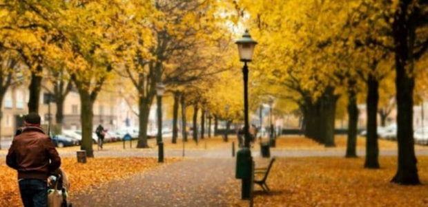 Осінь, погода, гороскоп