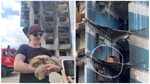 Супергерои среди нас: в Бородянке спасли кошку, которая оказалась на 7 этаже разрушенного дома (ФОТО)