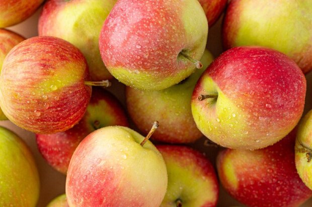 Яблука, зображення з вільних джерел