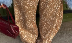 Мода, женщина, одежда