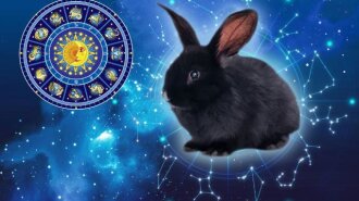 Три знаки Зодіаку, яким 2023 рік Кролика принесе щастя та везіння - розпочнеться "біла смуга" у житті