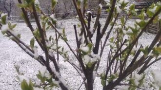 Аномальний травень: у розпал весни у Львові випав сніг (ФОТО, ВІДЕО)