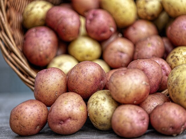 Картофель. Фото: Изображение stanbalik с сайта Pixabay