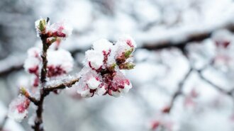 Укргидрометцентр: до настоящей весны еще далеко